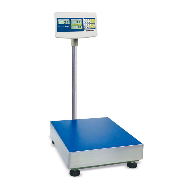 Balanza Digital Plataforma c/ Torre 300 kg.