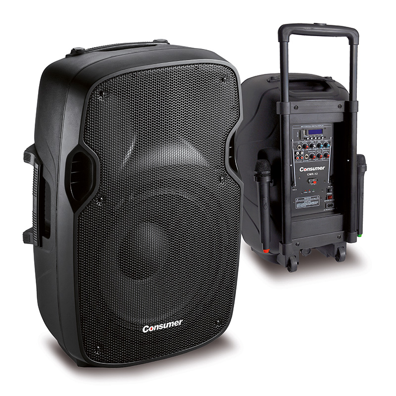 Parlante Bluetooth 12", 1000W PMPO, con pedestal